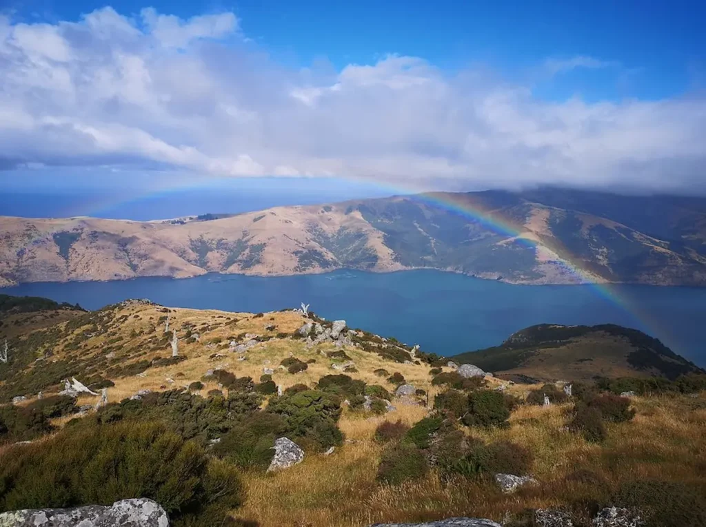 Banks Peninsula Track