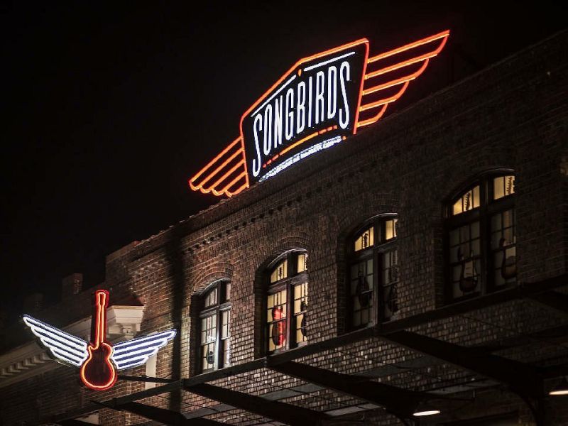 Explore the convergence of music history and live performances at Songbirds Guitar Museum in Chattanooga.