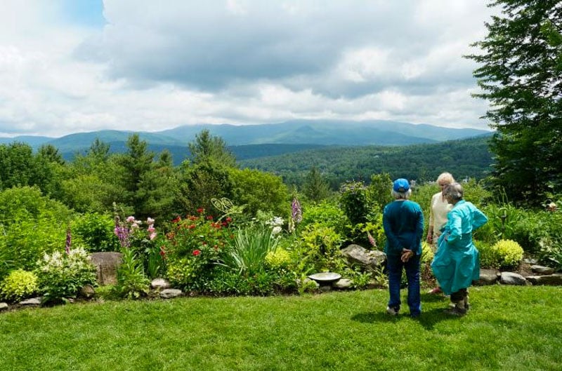 Stowe Botanical Garden offers a peaceful escape from diverse plant species' beauty.