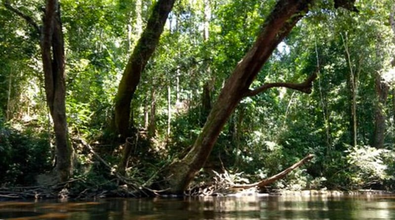 The park's central area is traversed by this river.