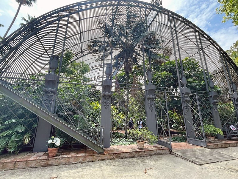 The Botanical Garden: Green sanctuary, where diverse flora blooms, revealing nature's artistry in every leaf and petal.