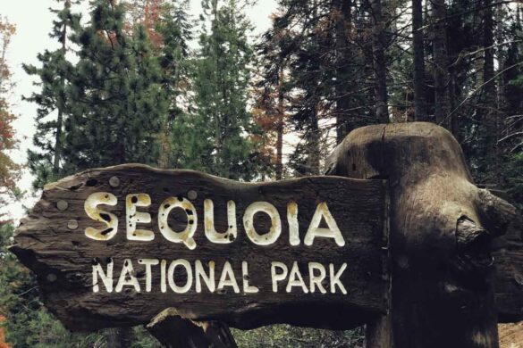 12 Best Things to Do in Sequoia National Park for an Unforgettable Adventure