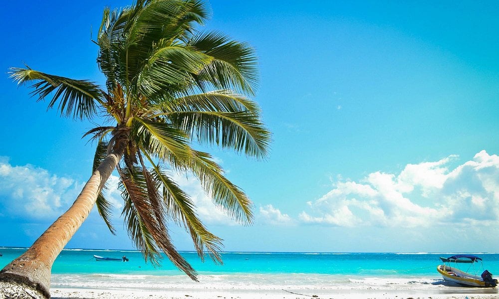 A leaning palm tree on the white sand beach of Tulum with turquoise water and small boats in the distance.