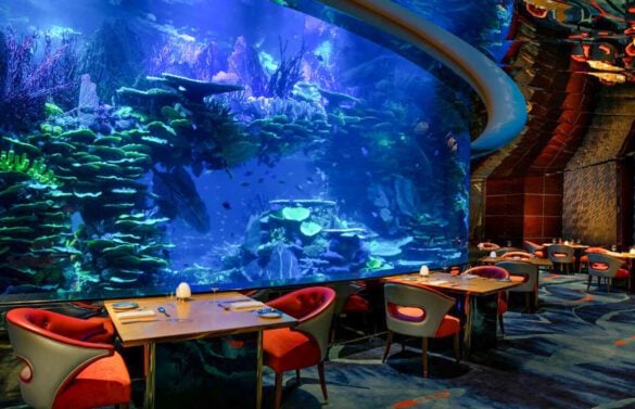 Unique Restaurants in Dubai