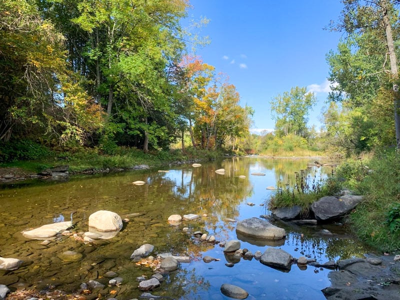 The Willoughby River Wildlife Management Area is a prime birdwatching spot with diverse habitats.