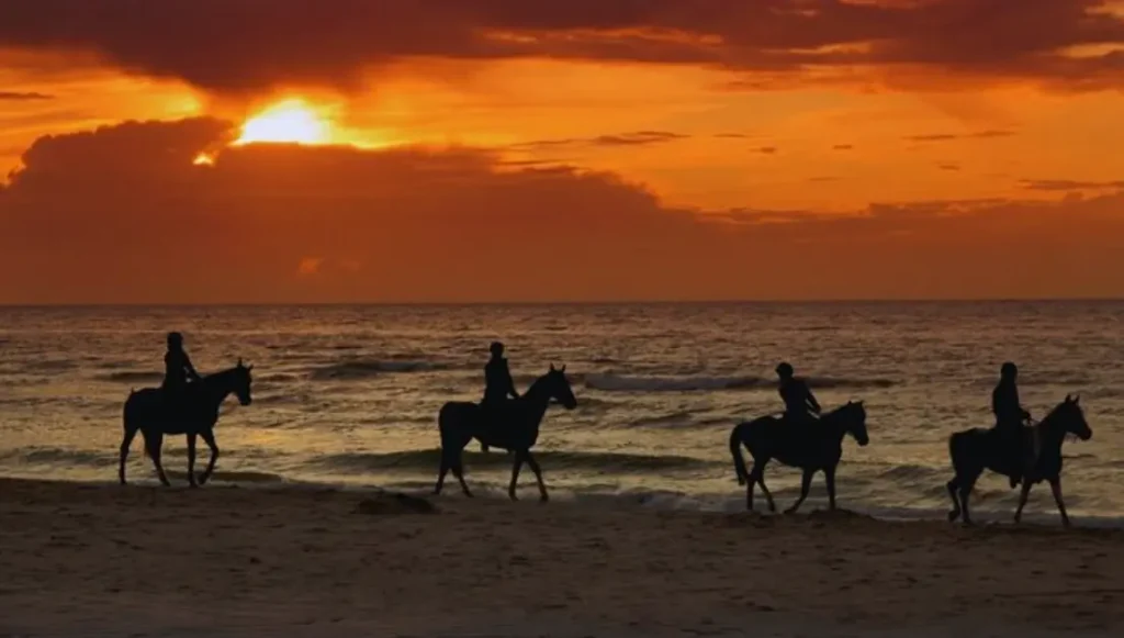 Sunset Horseback Ride by the Beach in Aguadilla, Puerto Rico