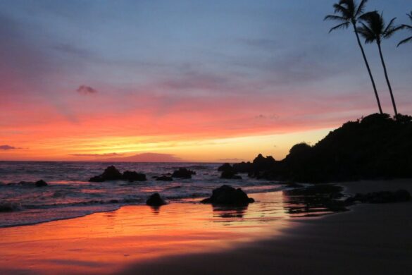 20 Things to Do in Maui at Night That Beat Every Other Island!