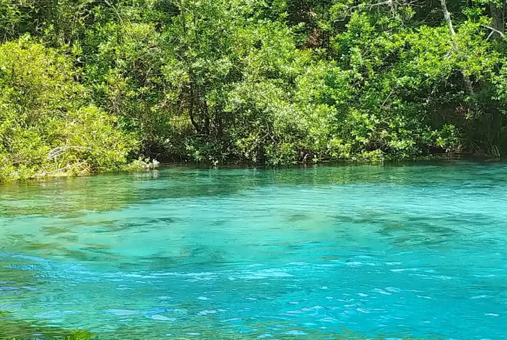 Ichetucknee Springs State Park