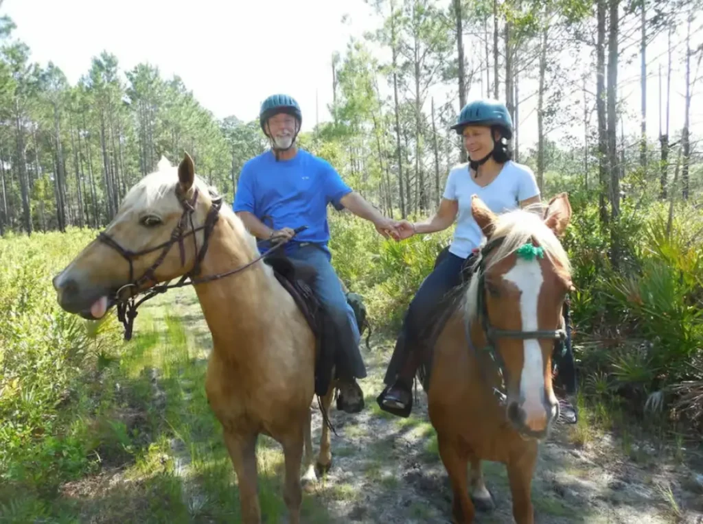 Amelia Island, Pumpkin Hill Guided Horse Ride