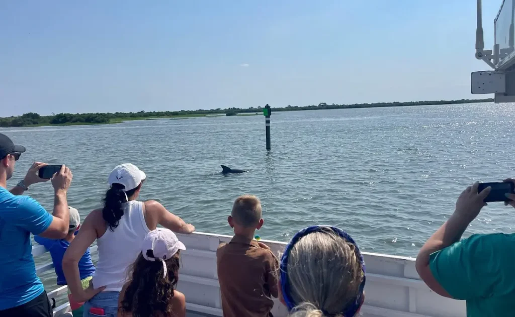 Dolphin and Wildlife Adventure of St. Augustine