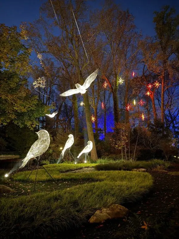 Lighted bird sculptures and glowing stars at Atlanta Botanical Garden.