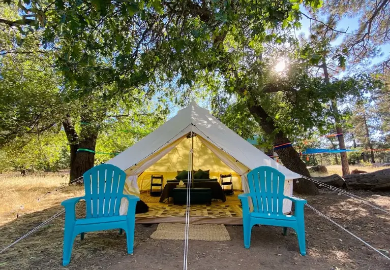 Alter Experiences (Tree Tents)