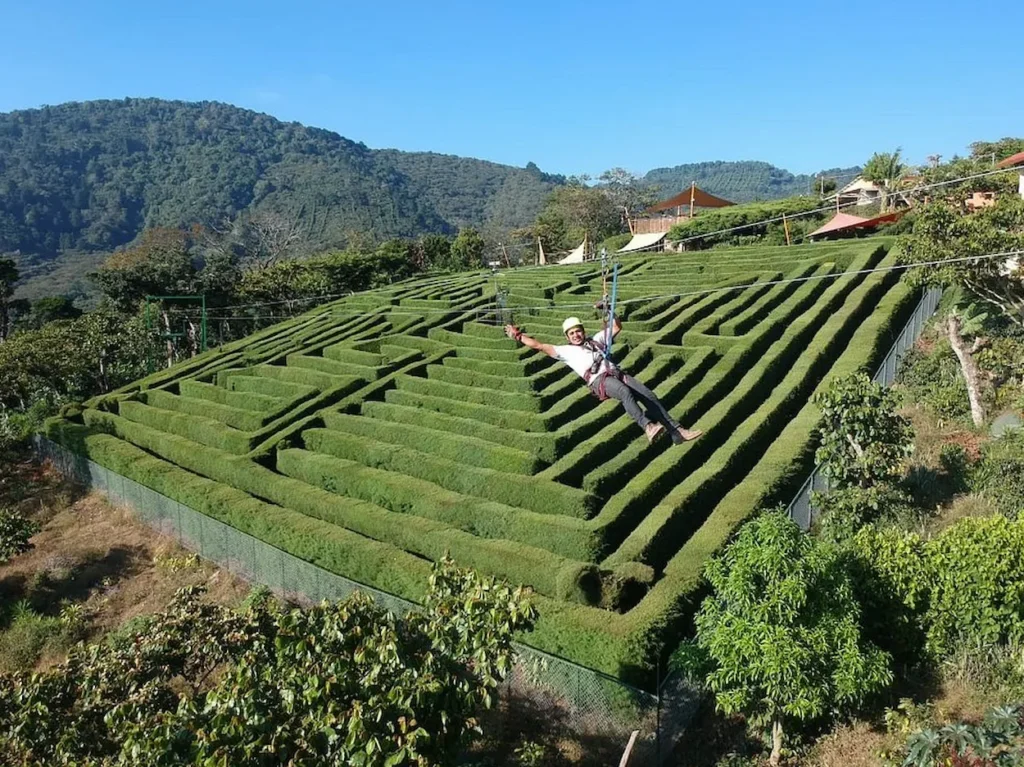 Café Albania zipline