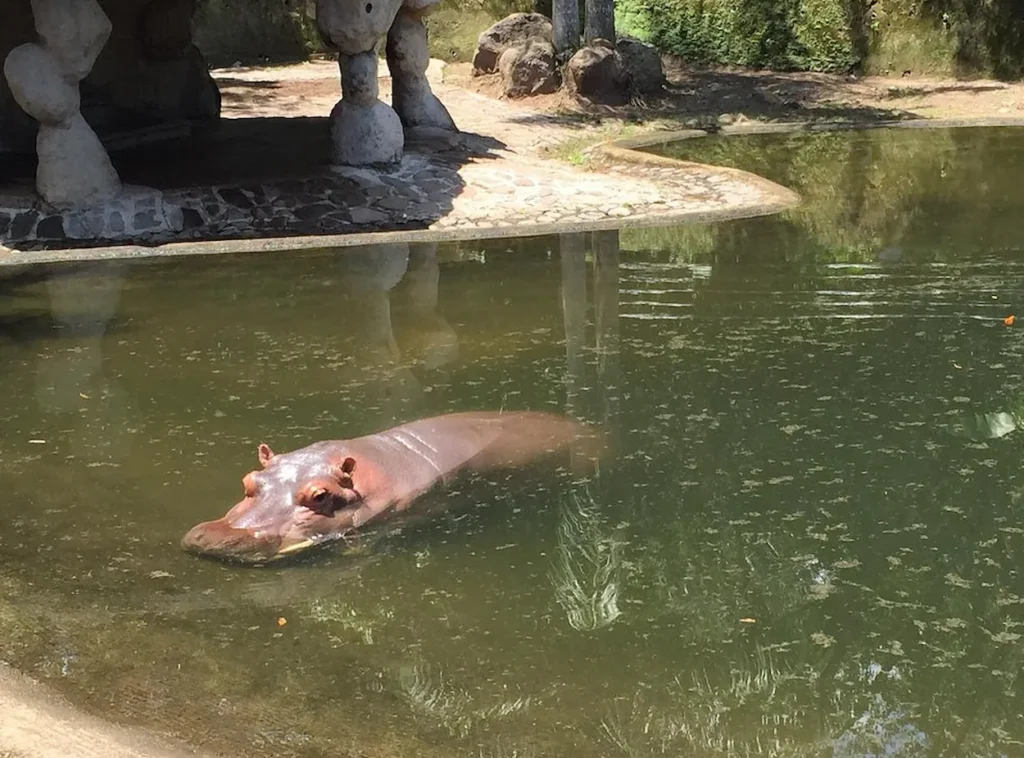 Furesa Fundacion Refugio Salvaje