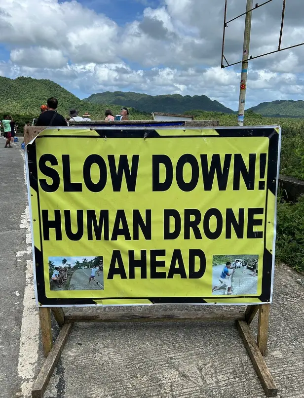 Coconut Trees View Deck