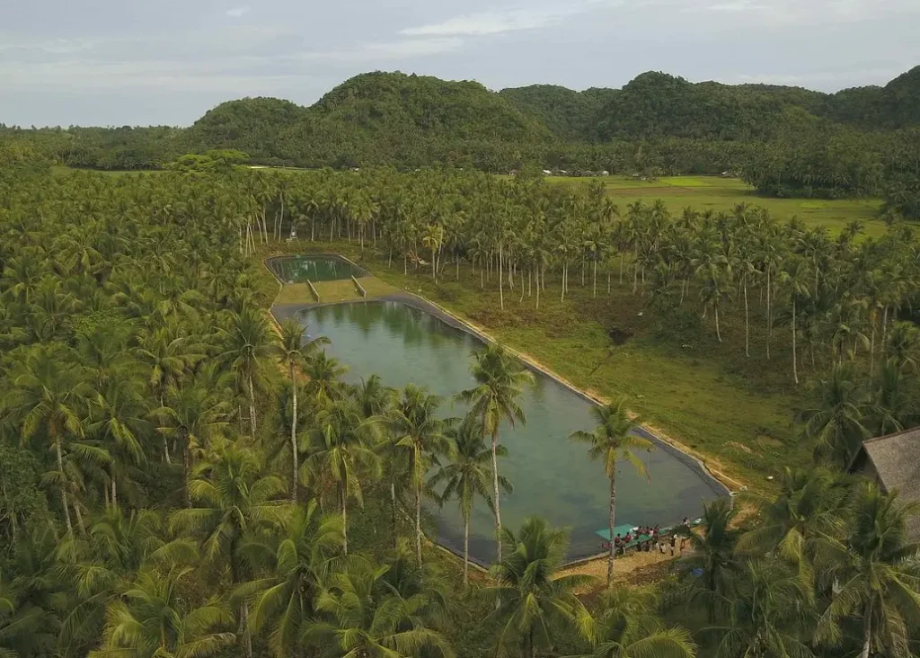 Siargao Wakepark
