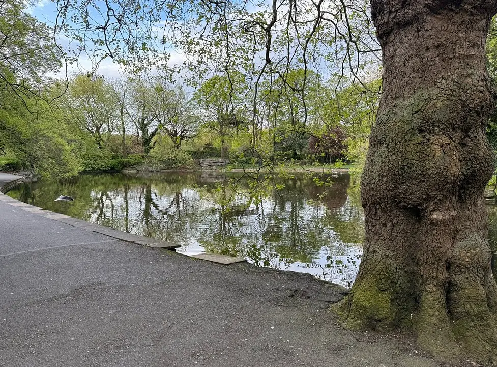 St Stephens Green