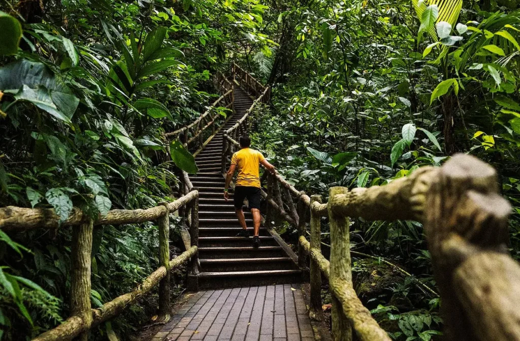 La Fortuna de San Carlos