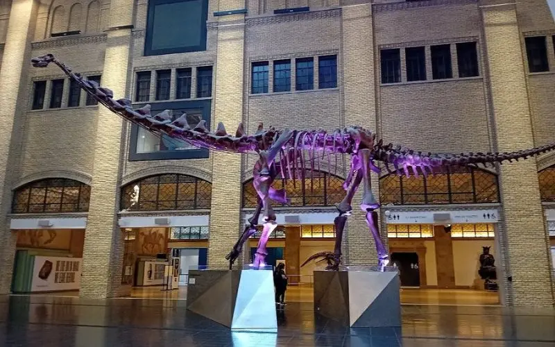 Dinosaur skeleton display inside the Royal Ontario Museum in Toronto.