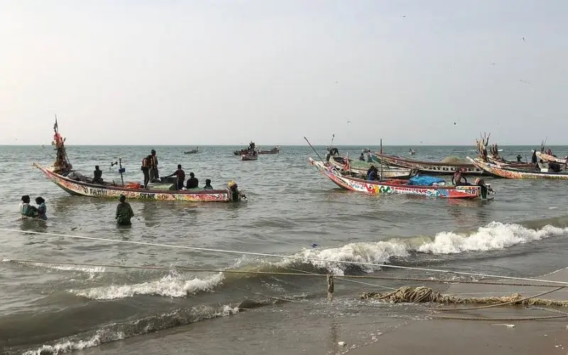 Tanji fishing village in Gambia with colorful boats in the sea.