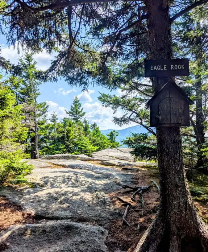 Willoughby State Forest
