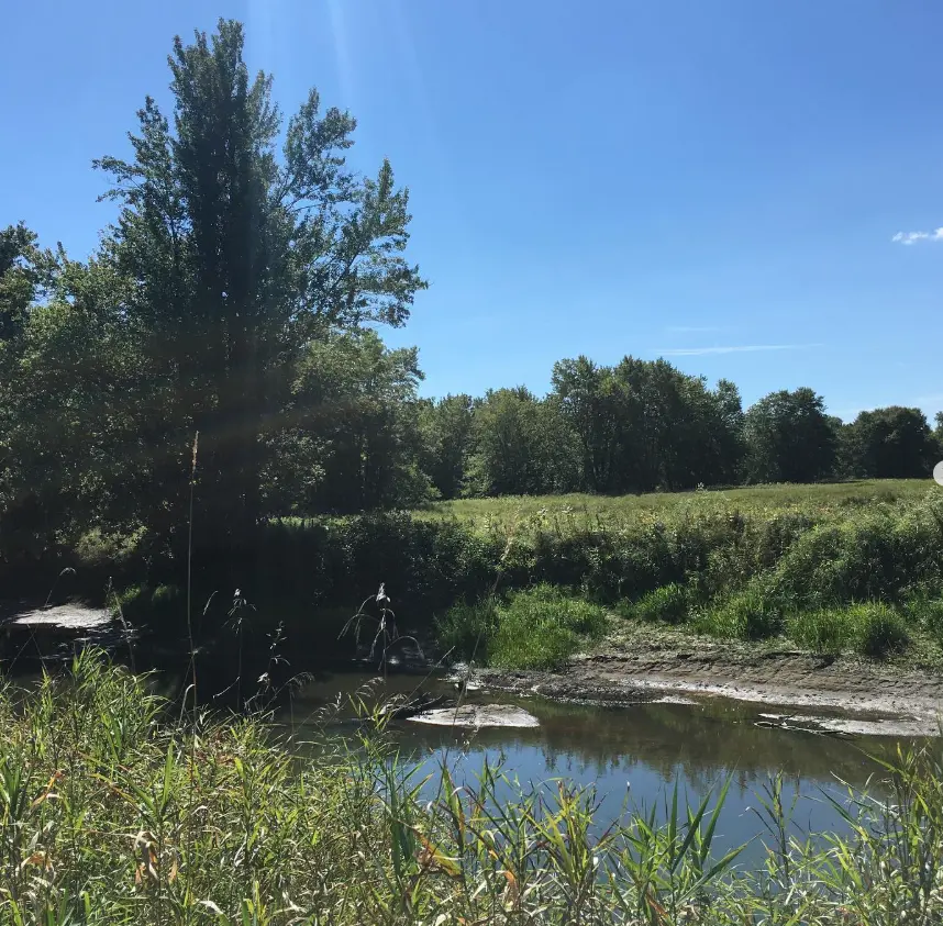 Willoughby River Wildlife Management Area