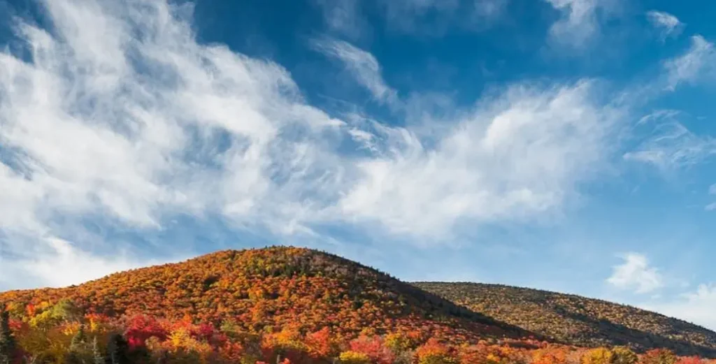 Wheeler Mountain Trail