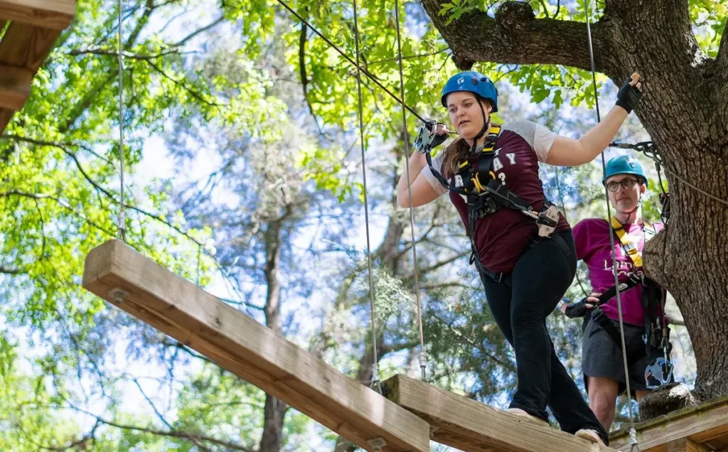 Trinity Forest Adventure Park