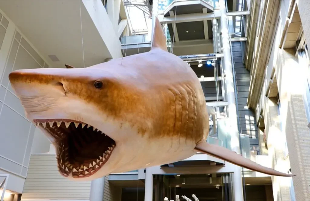 Smithsonian National Museum of Natural History