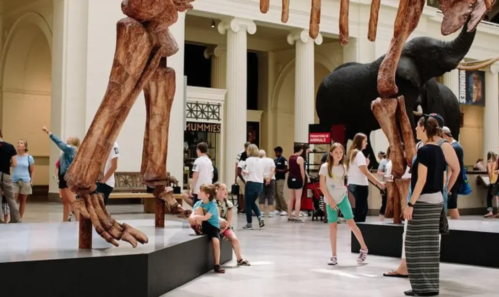 Navy Pier’s Centennial Wheel
