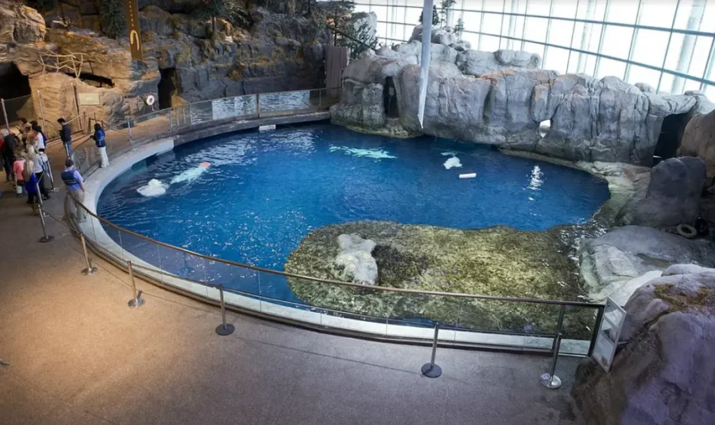 Shedd Aquarium