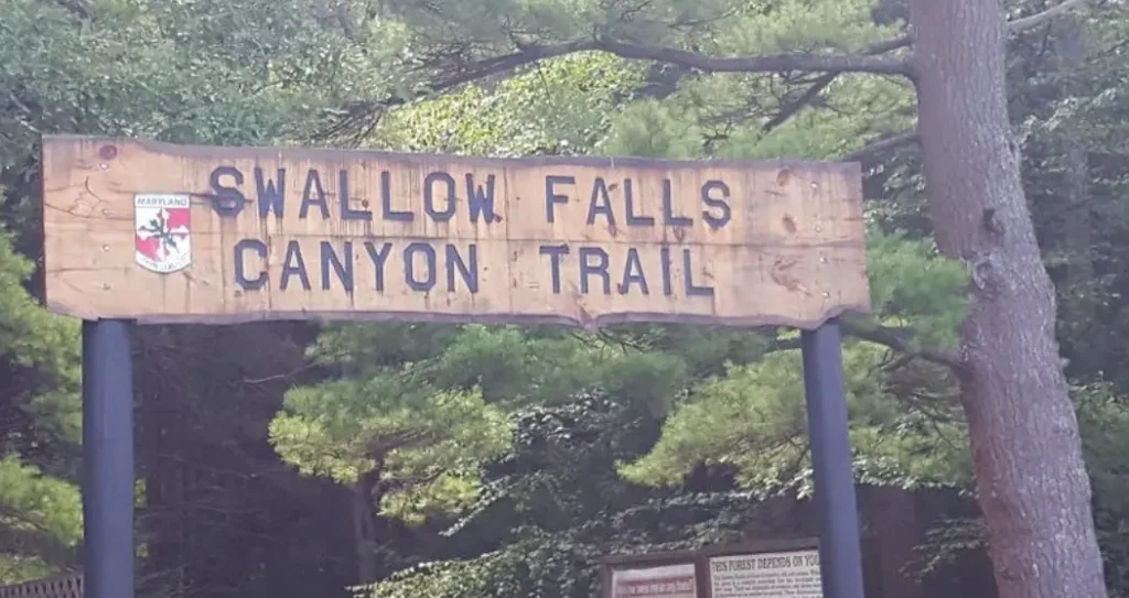 Swallow Falls State Park sign