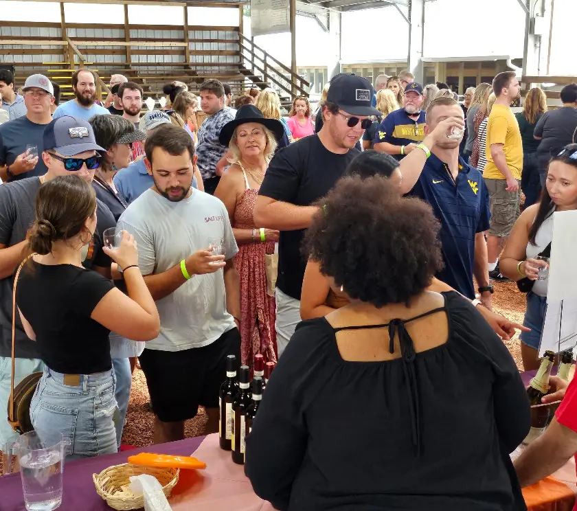 The Art & Wine Festival