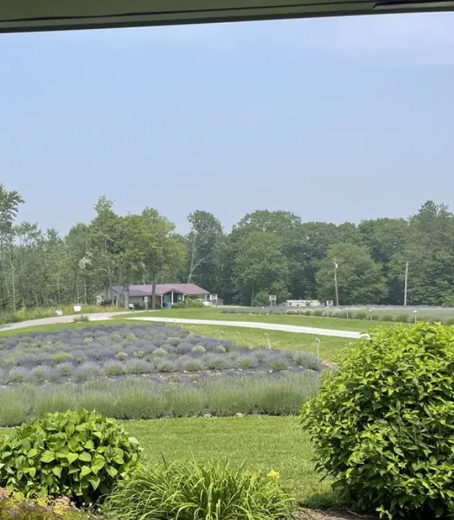 Deep Creek Lavender Farm