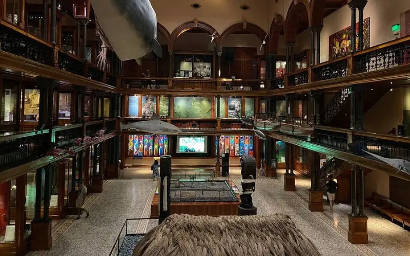 Interior exhibits and displays at Bishop Museum.