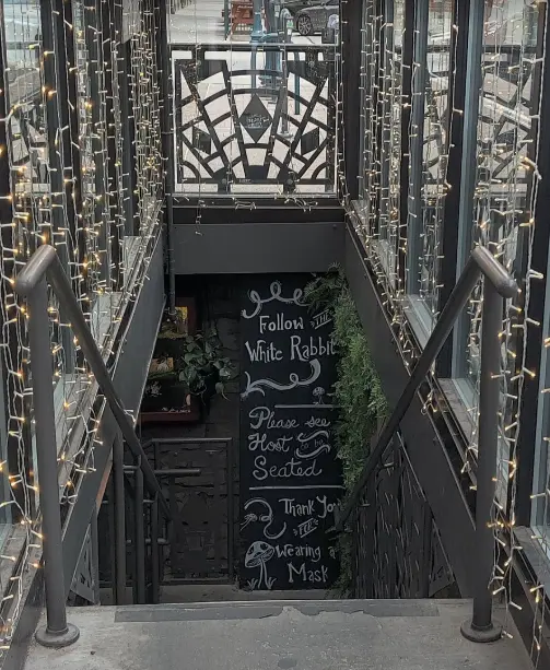 Entrance to The Rabbit Hole