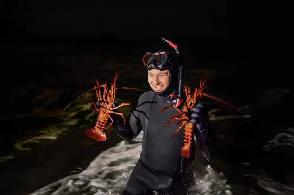 Lobster hunting after dark