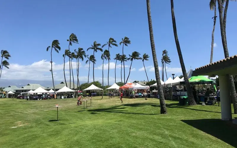 White tents and palm trees at an outdoor event in Kahului.