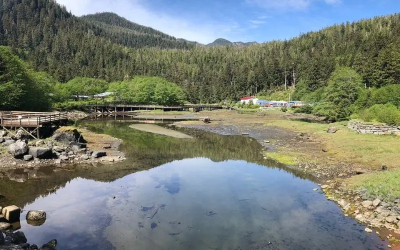 Wooden boardwalk and forested creek in Ketchikan.