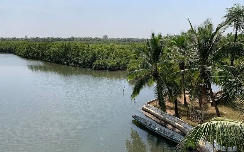 Makasutu Culture Forest in Gambia with river and palm trees.