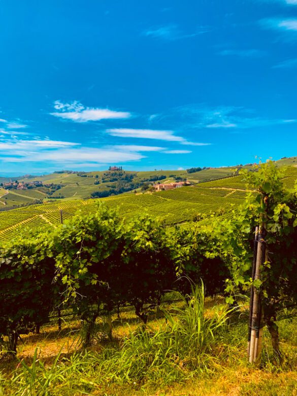 The 12 Most Magical Spots in Piedmont You Can’t Miss Global Viewpoint
