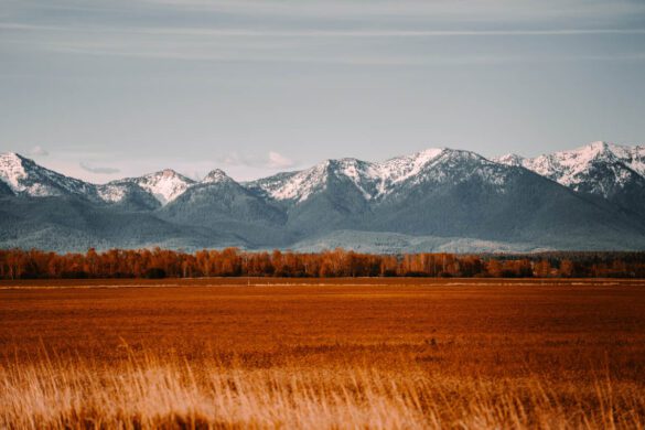 Top 12 Places to Live in Montana with High Living Standards