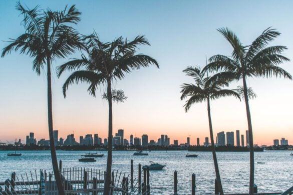 Best Things to Do With Teens in Miami