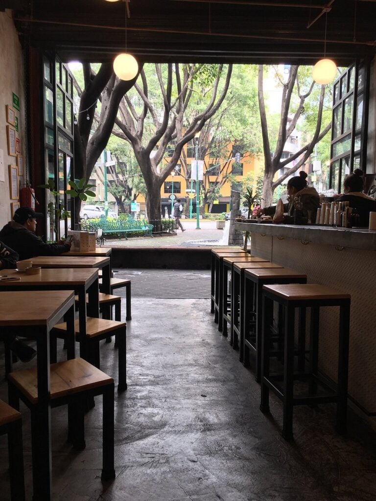 Minimalist indoor seating at Cicatriz with a view of the park outside.
