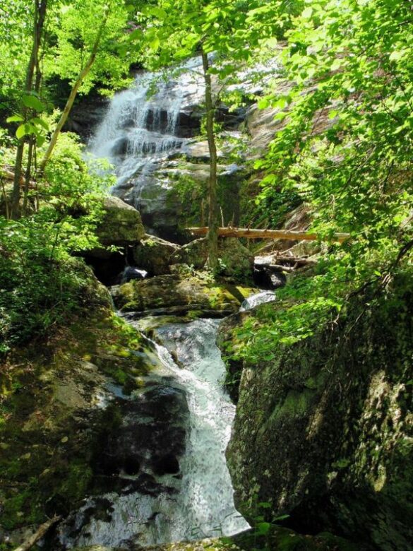 Top 12 Hidden Gems in Virginia You Won’t Believe Exist(01)