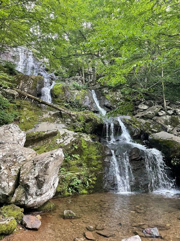 A serene view of Dark Hollow Falls, surrounded by lush greenery