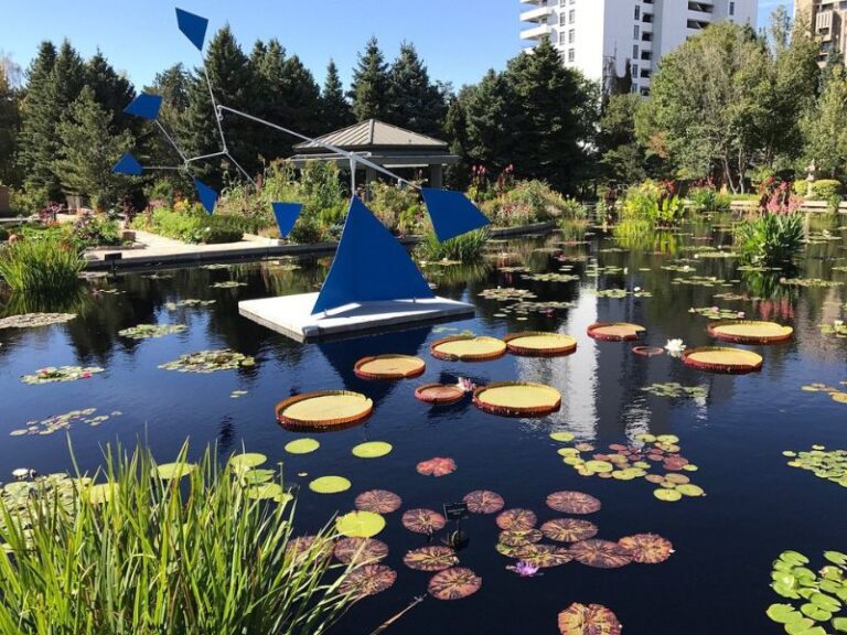 12 Best Things To Do in Denver For Young Adults (Millennials + Gen Z)