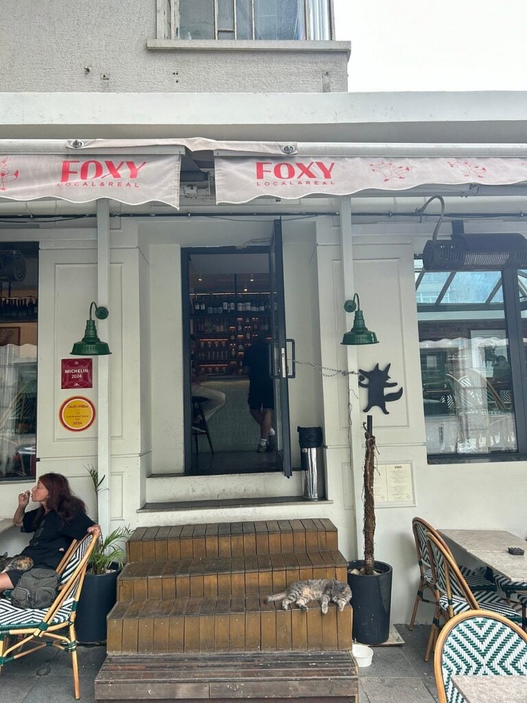 Exterior of Foxy with patio seating and a cat lounging on the steps.