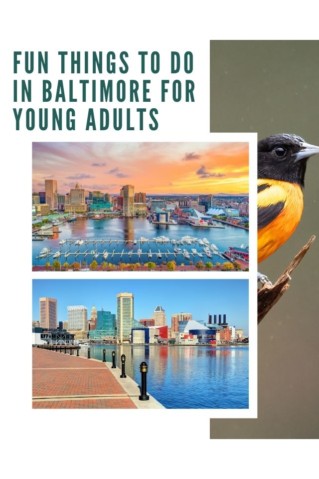 The best things to do in Baltimore for young adults right now