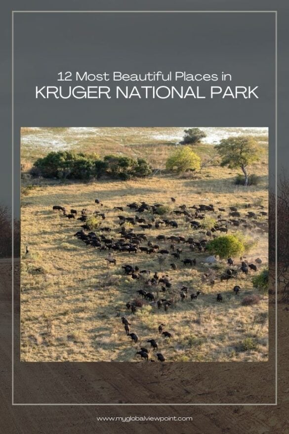 12-epic-and-beautiful-spots-to-see-in-kruger-national-park